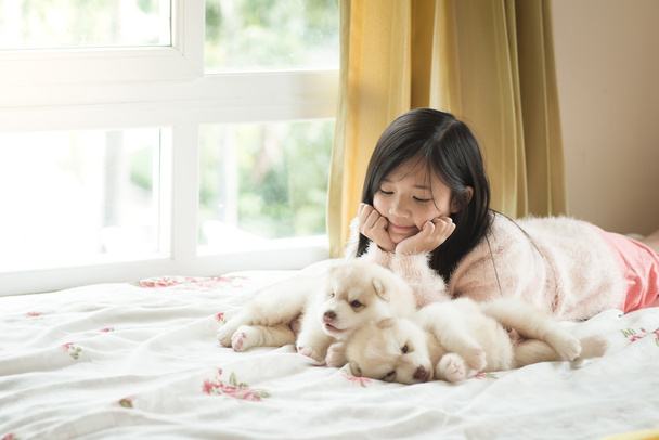 Little asian girl lying with two siberian husky puppies - Photo, Image