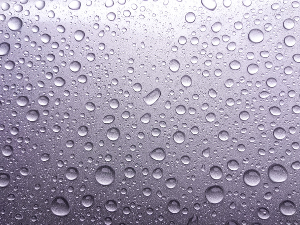 Belleza de las gotas de lluvia
. - Foto, Imagen