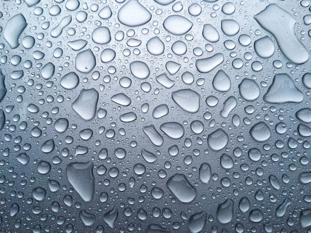 Beauty of the rain drops. - Photo, Image