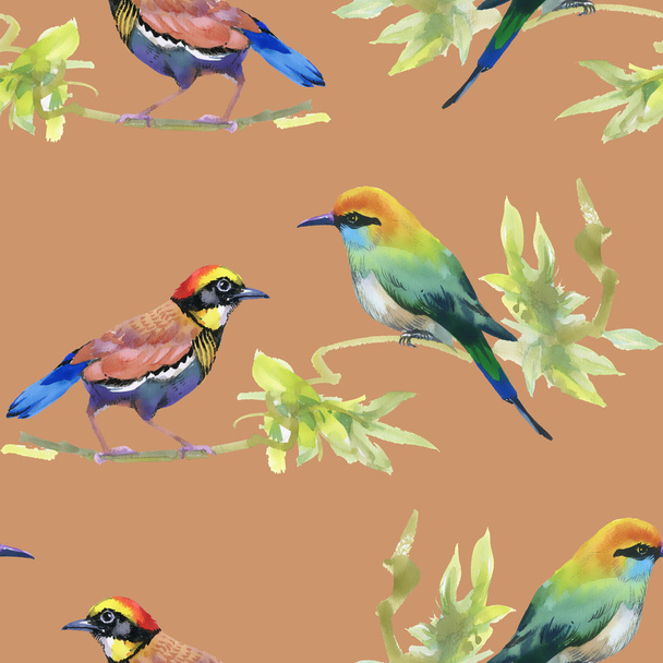 Watercolor colorful Birds - 写真・画像