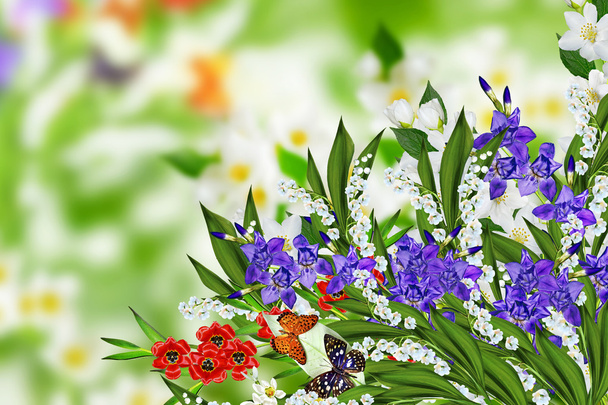 jasmine flowers, iris and lily of the valley - Photo, Image