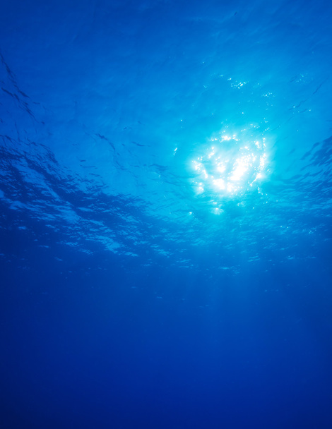 Подводные солнечные лучи и блеск
 - Фото, изображение
