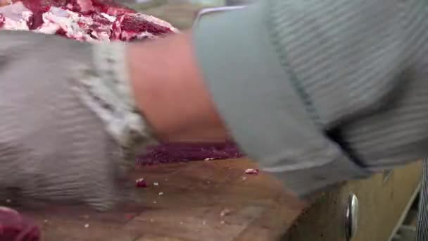 Schneiden Sie ein Stück Steak - Filmmaterial, Video