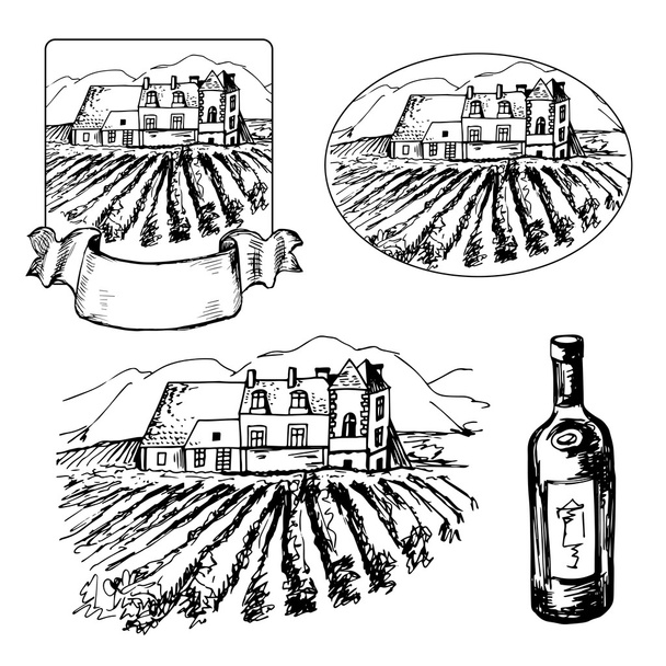 Conjunto de diferentes síbilos de vinha e garrafa de vinho
 - Vetor, Imagem