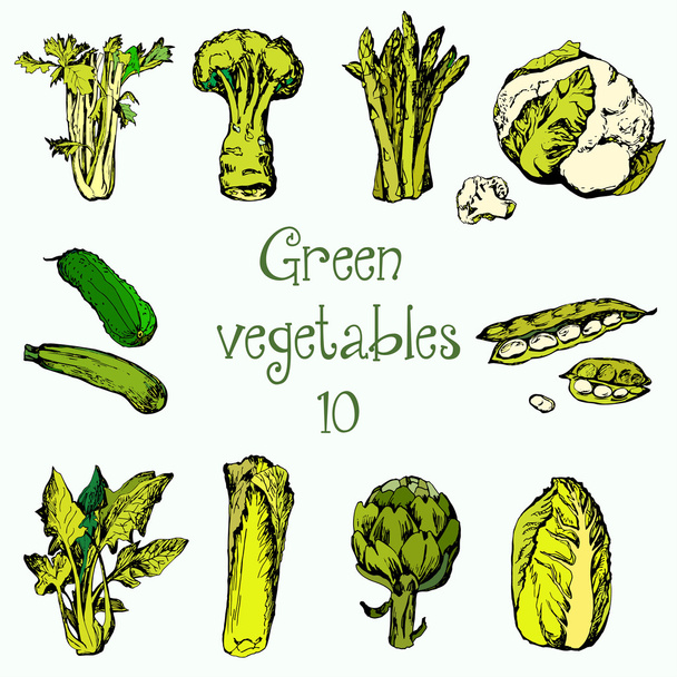 Handgezeichnetes Set von grünem Gemüse - Vektor, Bild