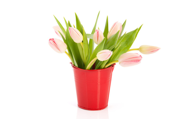 Pink tulips in red bucket - Fotoğraf, Görsel