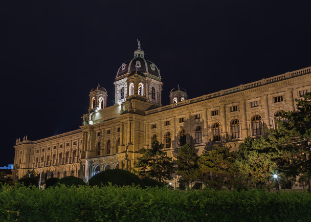 Naturhistorisches Museum in Vienna at Night - Fotografie, Obrázek