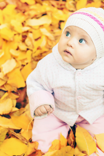 portrait of baby at autumn park with yellow leaves background - Fotó, kép