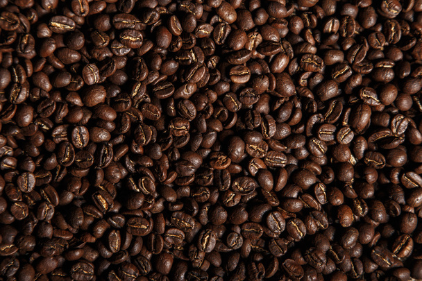 Brown coffee beans background closeup - Photo, Image