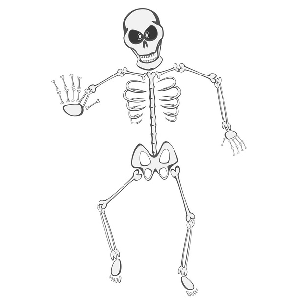 Skelettkumpel - Vektor, Bild