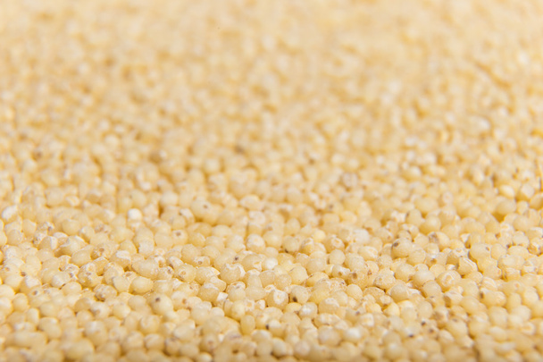 Uncooked millet cereal closeup macro - Foto, Bild