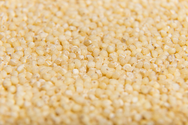 Uncooked millet cereal closeup macro - Foto, immagini