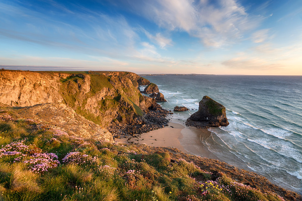 Spring on the Cornish Coast - Photo, Image