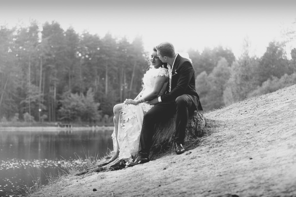 romantic just married couple hugging on log at riverbank - Photo, Image