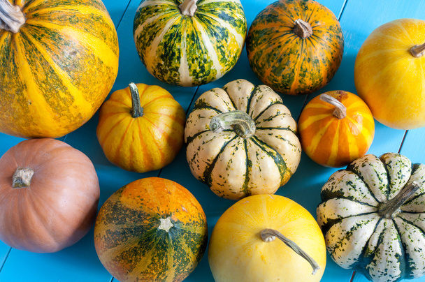 Colorful pumpkins on blue wooden table. Top view, autumn harvest and cooking background - Foto, Imagem