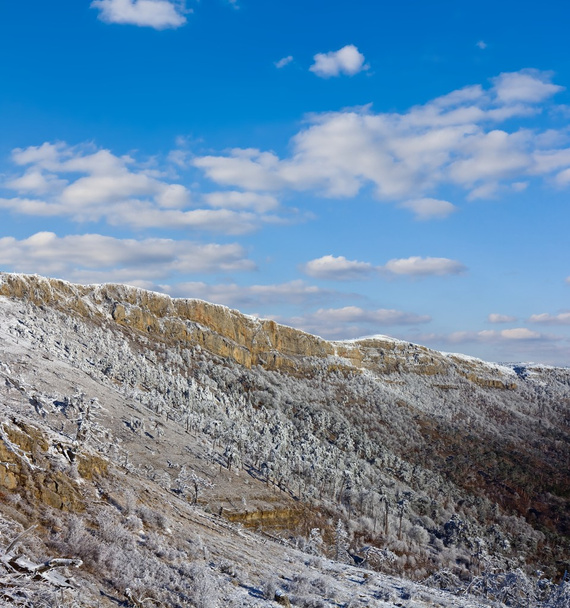 Winter mountain slope - Фото, изображение