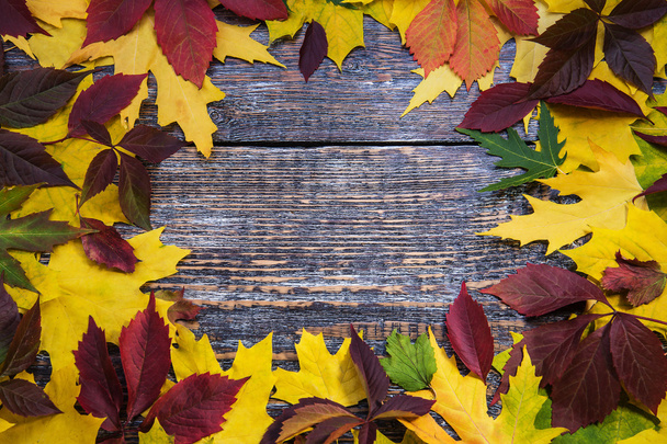 hojas de otoño sobre un fondo de madera - Foto, Imagen