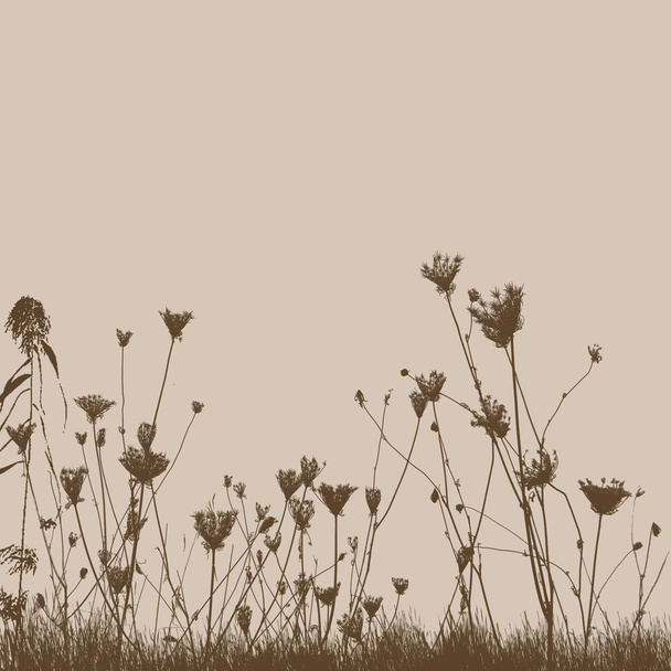 Přirozené divoké rostliny na trávě silueta - Vektor, obrázek