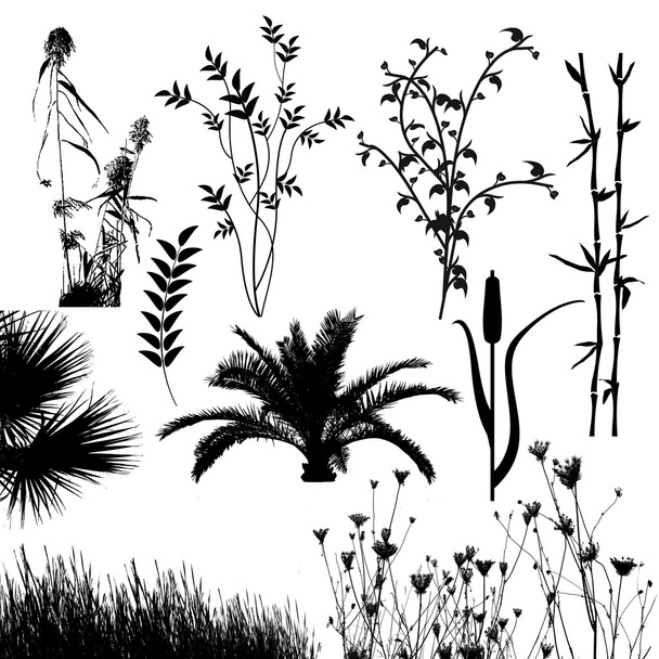 Plant collection silhouette for designers - Vector, Image