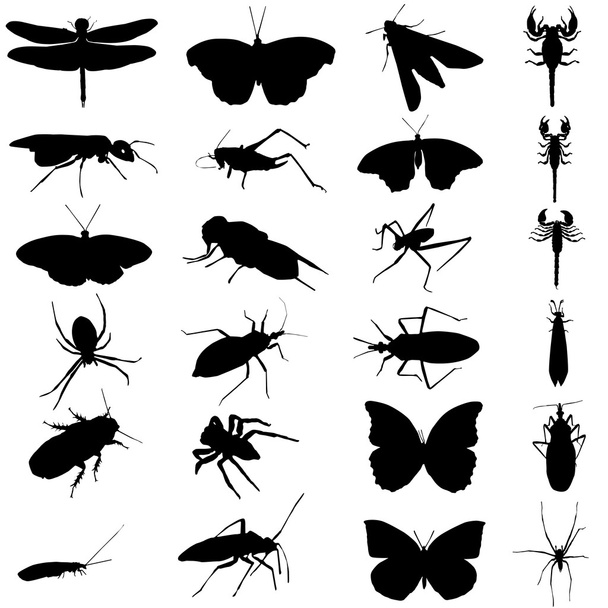 Serie di insetti
 - Vettoriali, immagini