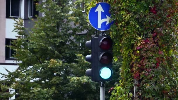 Közlekedési lámpák és közlekedési jelek. - Felvétel, videó