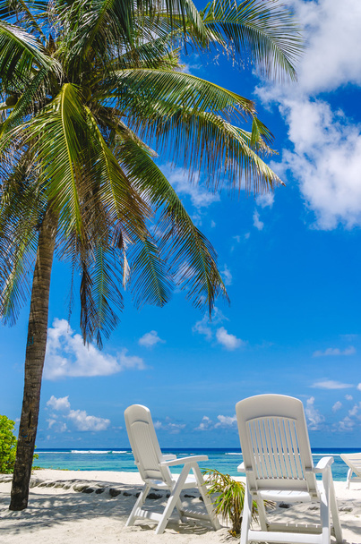 Duas cadeiras de praia na praia de areia branca tropical perfeita em Maldivas
 - Foto, Imagem