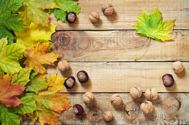 Autumn leaves nuts and chestnuts over old wooden background - Foto, immagini