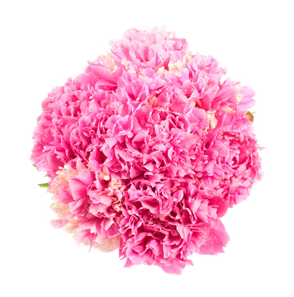 Bouquet of pink peonies - Photo, Image