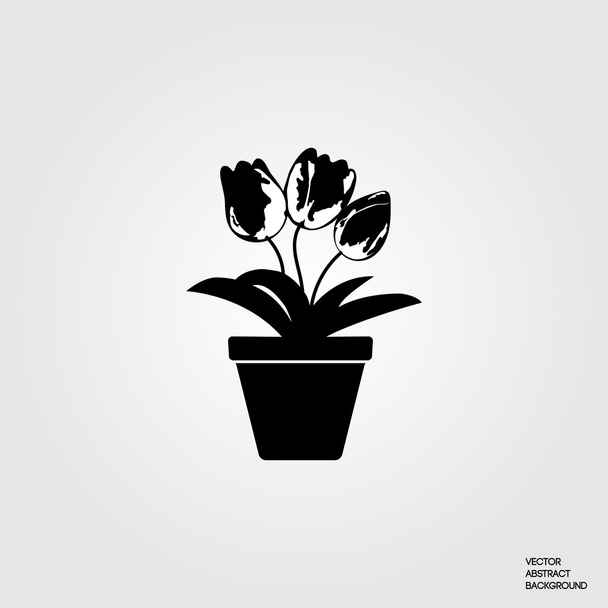 Flowers tulips. Flowers in a pot. Potted flowers. Floriculture hobbies. Beautiful flowers. Florists. Flowers silhouette. - Vector, Image