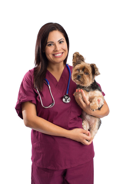 Female veterinarian - Photo, Image
