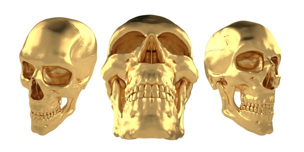 Esculpir humano anatómico24
 - Foto, Imagem