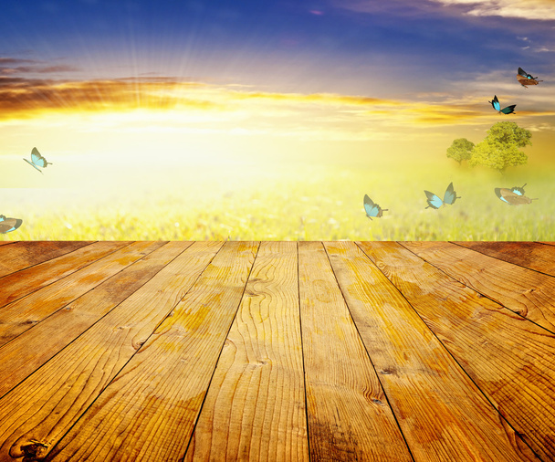 zelené louce pod modrou oblohou. dřevěné podlahy - Fotografie, Obrázek