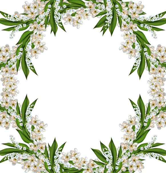 rama de flores de cerezo aisladas sobre fondo blanco
. - Foto, imagen