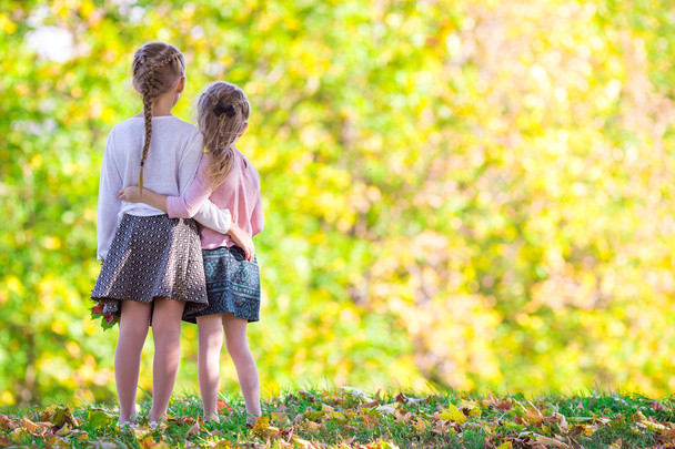 Adorable little girls with autumn leaves in the beautiful park - Foto, Imagen