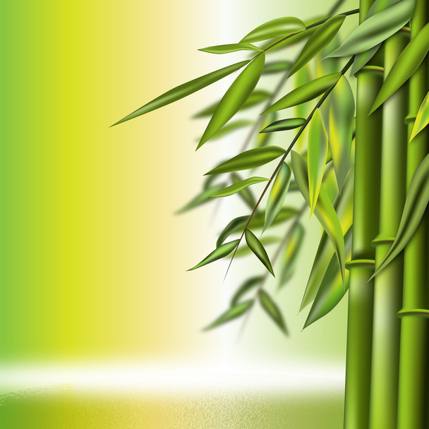 Bamboo background - Vector, Image