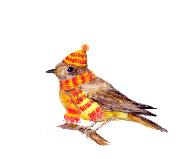 Bird in a hat. Christmas water colour - Zdjęcie, obraz