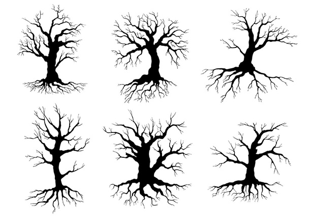 Old tree icons silhouettes with roots - Vektor, obrázek