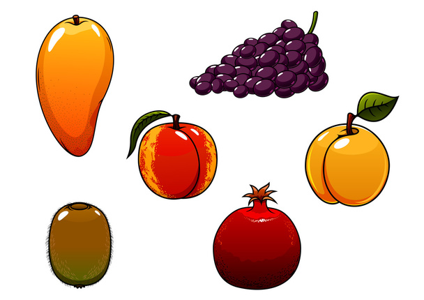 Juicy and sweet isolated fresh fruits set - Vektor, kép