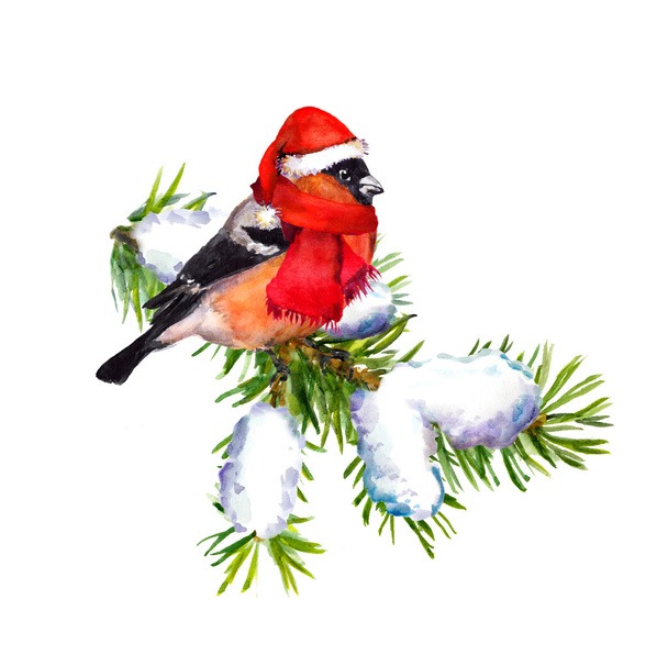 Vintage greeting card with retro painted bullfinch in red hat - Photo, Image