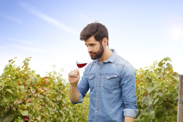 wijnmaker houdt in zijn hand een glas - Foto, afbeelding