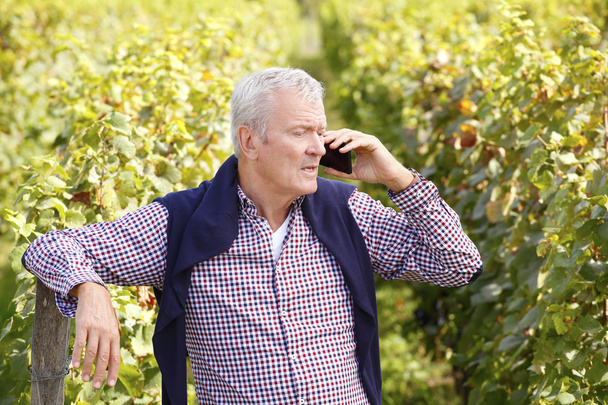 winemaker holding phone - Photo, Image
