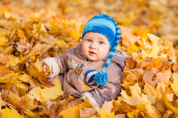 Cute baby in autumn leaves. - Foto, immagini