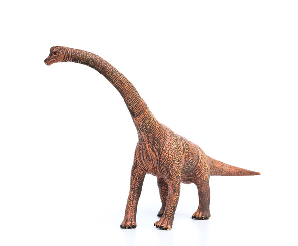 juguete brachiosaurus sobre un fondo blanco
 - Foto, imagen