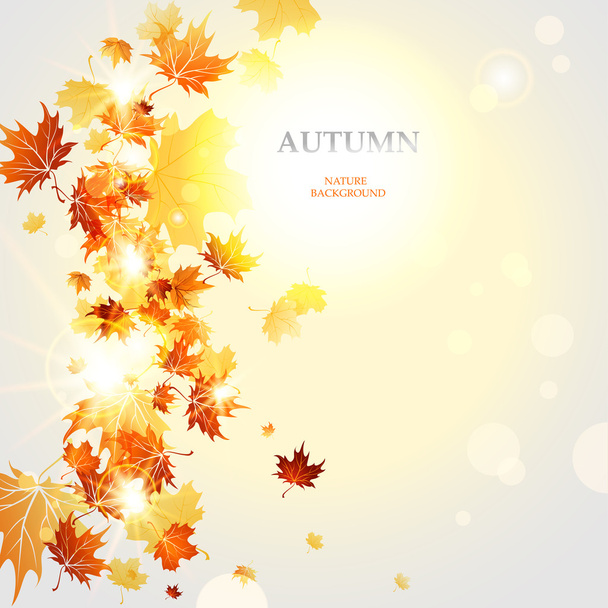 Autumnal background  with space - Vetor, Imagem