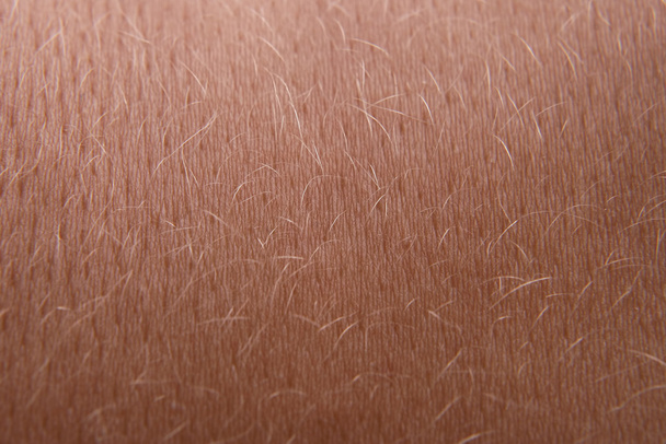 skin of a young woman closeup - Photo, Image