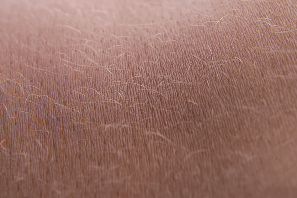 人間の皮膚をクローズ アップ - 写真・画像