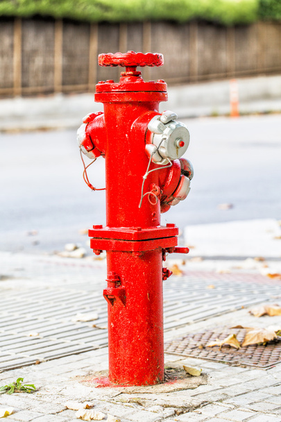 Red fire hydrant - Фото, зображення