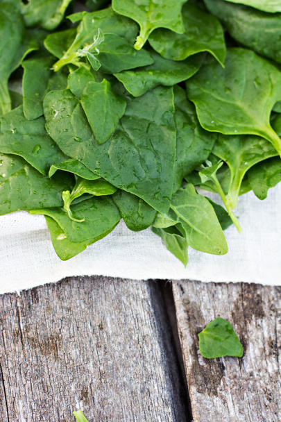 Bunch spinach leaves - Photo, Image