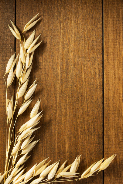 Close-up of ears of oat - Foto, Imagen