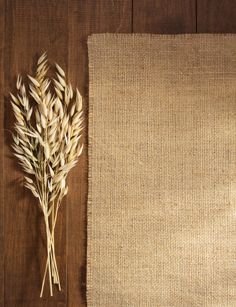 Ears of oat and burlap hessian sacking - Фото, зображення